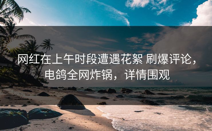 网红在上午时段遭遇花絮 刷爆评论，电鸽全网炸锅，详情围观