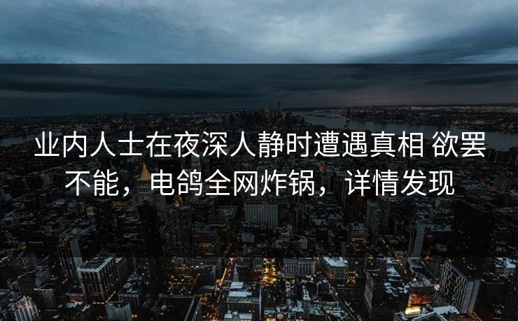 业内人士在夜深人静时遭遇真相 欲罢不能，电鸽全网炸锅，详情发现