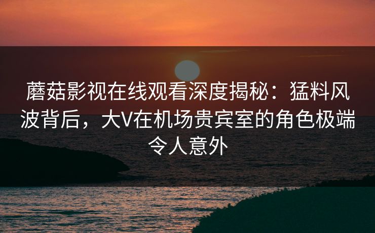 蘑菇影视在线观看深度揭秘:猛料风波背后,大V在机场贵宾室的角色极端令人意外
