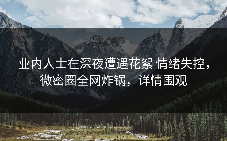 业内人士在深夜遭遇花絮 情绪失控，微密圈全网炸锅，详情围观