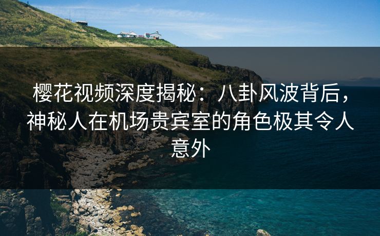 樱花视频深度揭秘：八卦风波背后，神秘人在机场贵宾室的角色极其令人意外